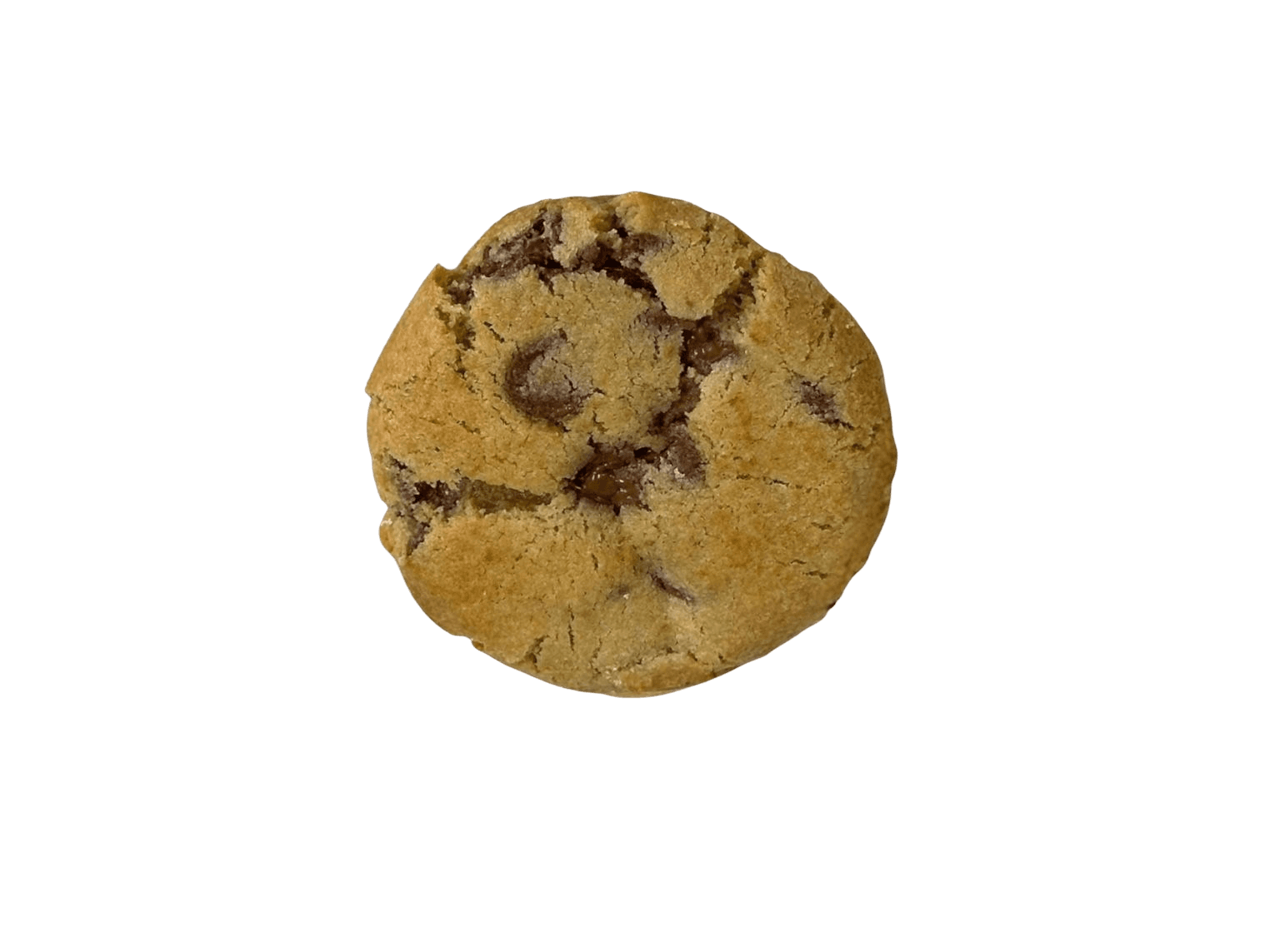 Chocolate cookie